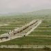 Aerial view of cleared residential land plots along the Ibeju-Lekki corridor in Lagos, 2026