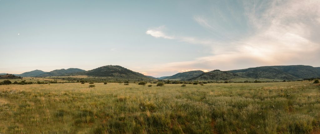 Open undeveloped grassland of the kind sold as plots across Ogun State, Nigeria, 2026