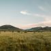 Open undeveloped grassland of the kind sold as plots across Ogun State, Nigeria, 2026